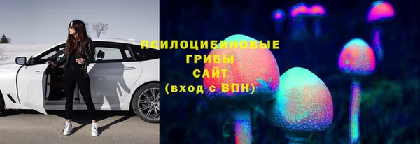 ALPHA PVP Медногорск