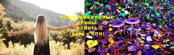 ALPHA PVP Медногорск