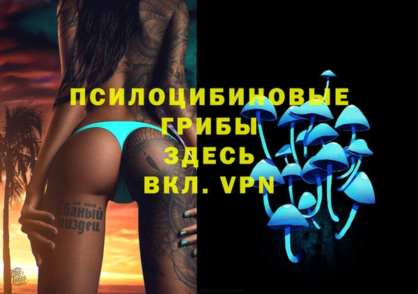 меф Медвежьегорск