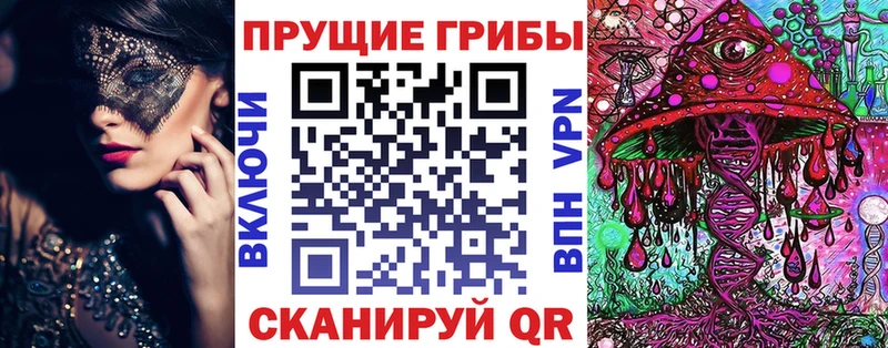 Галлюциногенные грибы MAGIC MUSHROOMS  цена наркотик  Мыски 