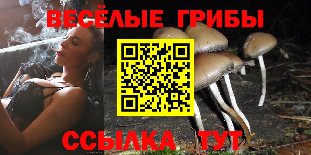 Псилоцибиновые грибы ЛСД Мыски