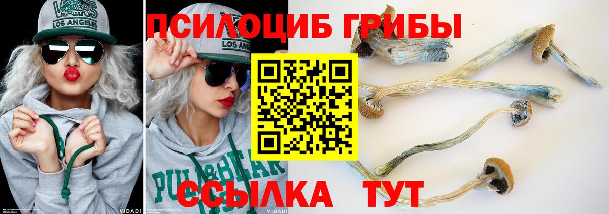 Галлюциногенные грибы мухоморы  Галлюциногенные грибы MAGIC MUSHROOMS  Мыски  хочу   Вход с VPN 